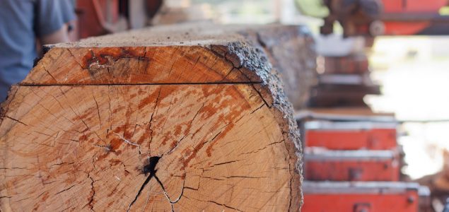 Croatian wood industry continues to grow despite pandemic