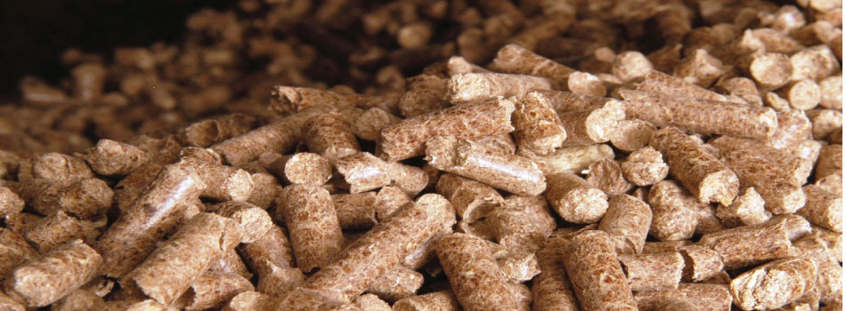 Japan’s wood pellets imports and production boosted by the replacement of nuclear energy