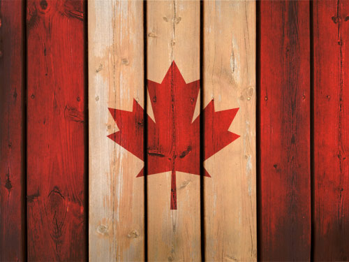 Canada Wood seeks new possibilities in the Chinese ...