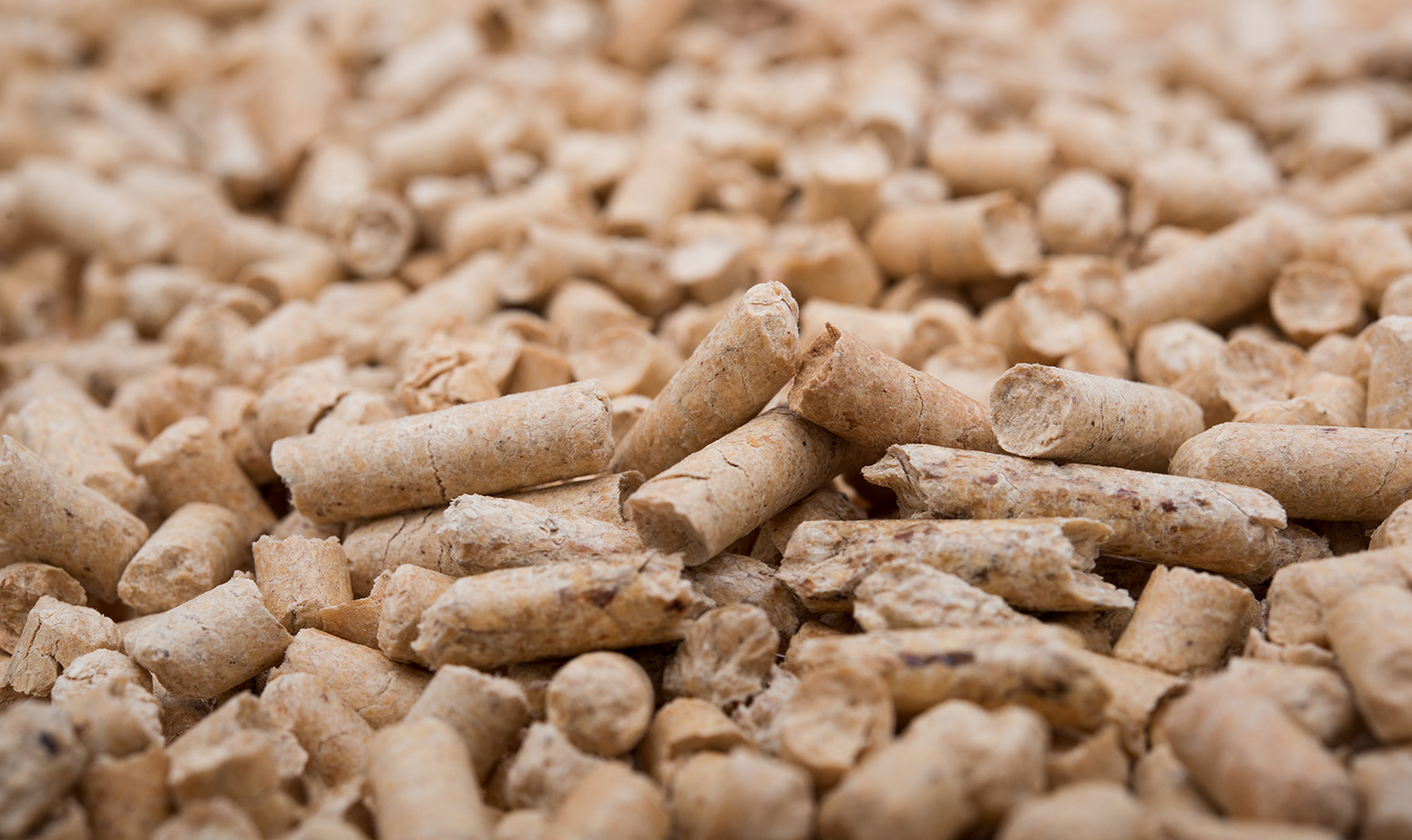 Poland ready to invest in wood pellet plants in Belarus, as country seeks produce on a massive scale Global Wood Markets Info