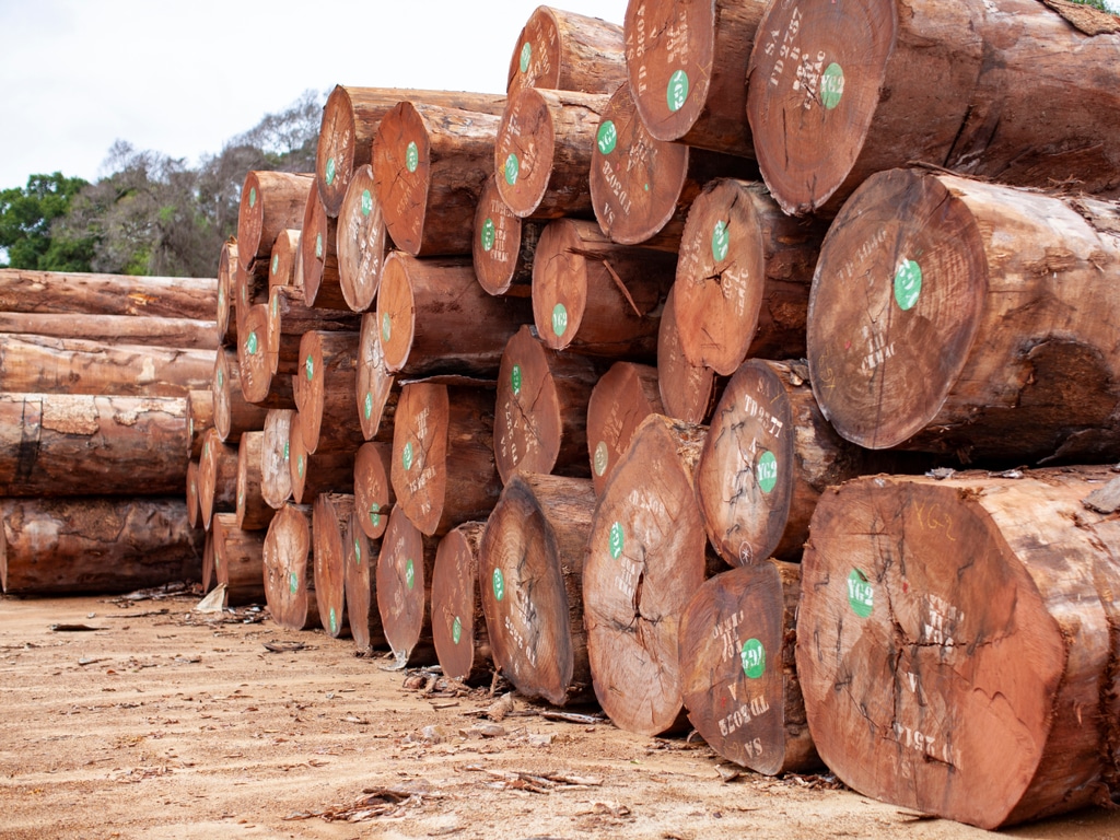 Wood Logs Export  GLOBAL WOOD TRADE