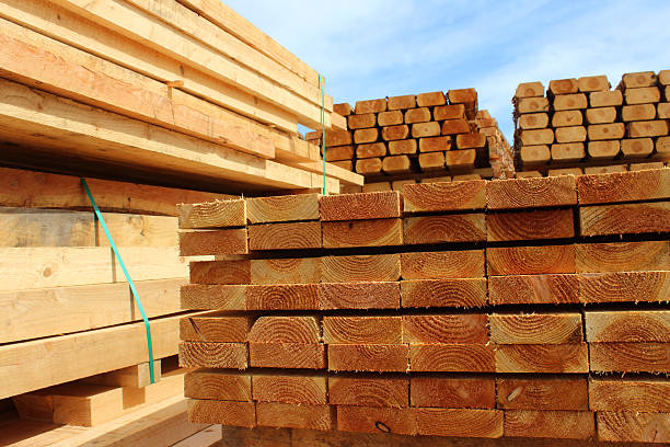 Qué es la chapa de madera? - Nuevo proyecto - Noticias - Global Timber  Products Ltd