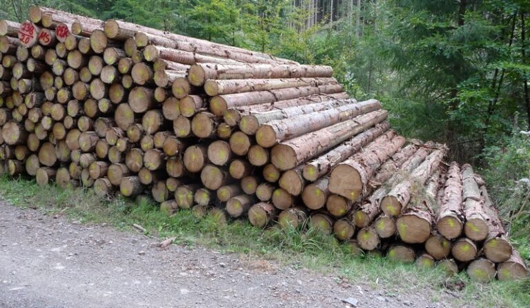 Austria: Softwood sawlog prices stable in July - Global Wood Markets Info